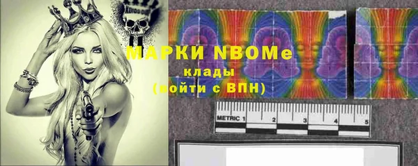 круглые Белокуриха