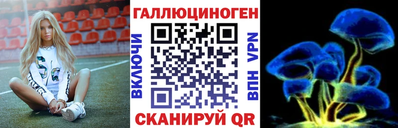 Псилоцибиновые грибы Magic Shrooms  наркота  Высоцк 